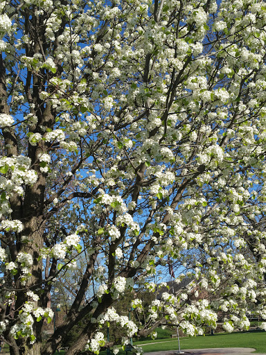 Museum «Curwood Castle Museum», reviews and photos, 224 Curwood Castle Dr, Owosso, MI 48867, USA