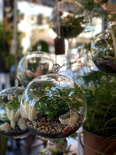 Florist «Blossoms Flower Shop», reviews and photos, 147 E Sailer Dr, San Mateo, CA 94403, USA