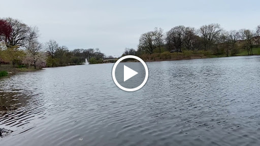 Roller Skating Rink «Branch Brook Park Roller Skating Center», reviews and photos, Clifton Ave, Newark, NJ 07104, USA