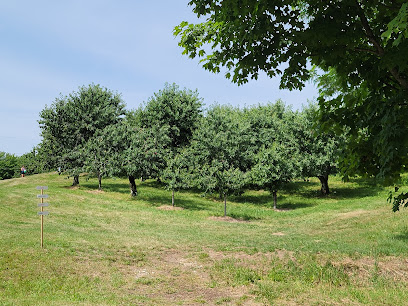 Mcmanus Southview Orchards