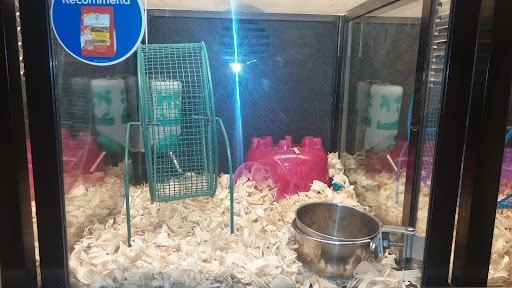 Pet Supply Store «PetSmart», reviews and photos, 98 Providence Hwy, East Walpole, MA 02032, USA