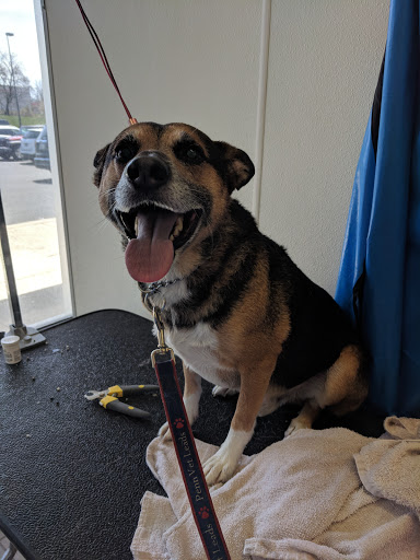 Pet Supply Store «Pet Supplies Plus», reviews and photos, 4024 Bethlehem Pike, Telford, PA 18969, USA