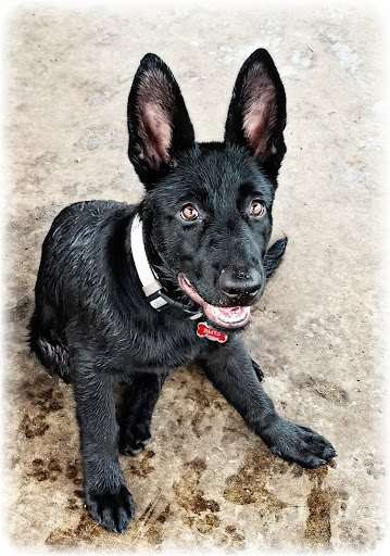 Park «Creekwood Park», reviews and photos, 7025 44th Ave E, Bradenton, FL 34205, USA