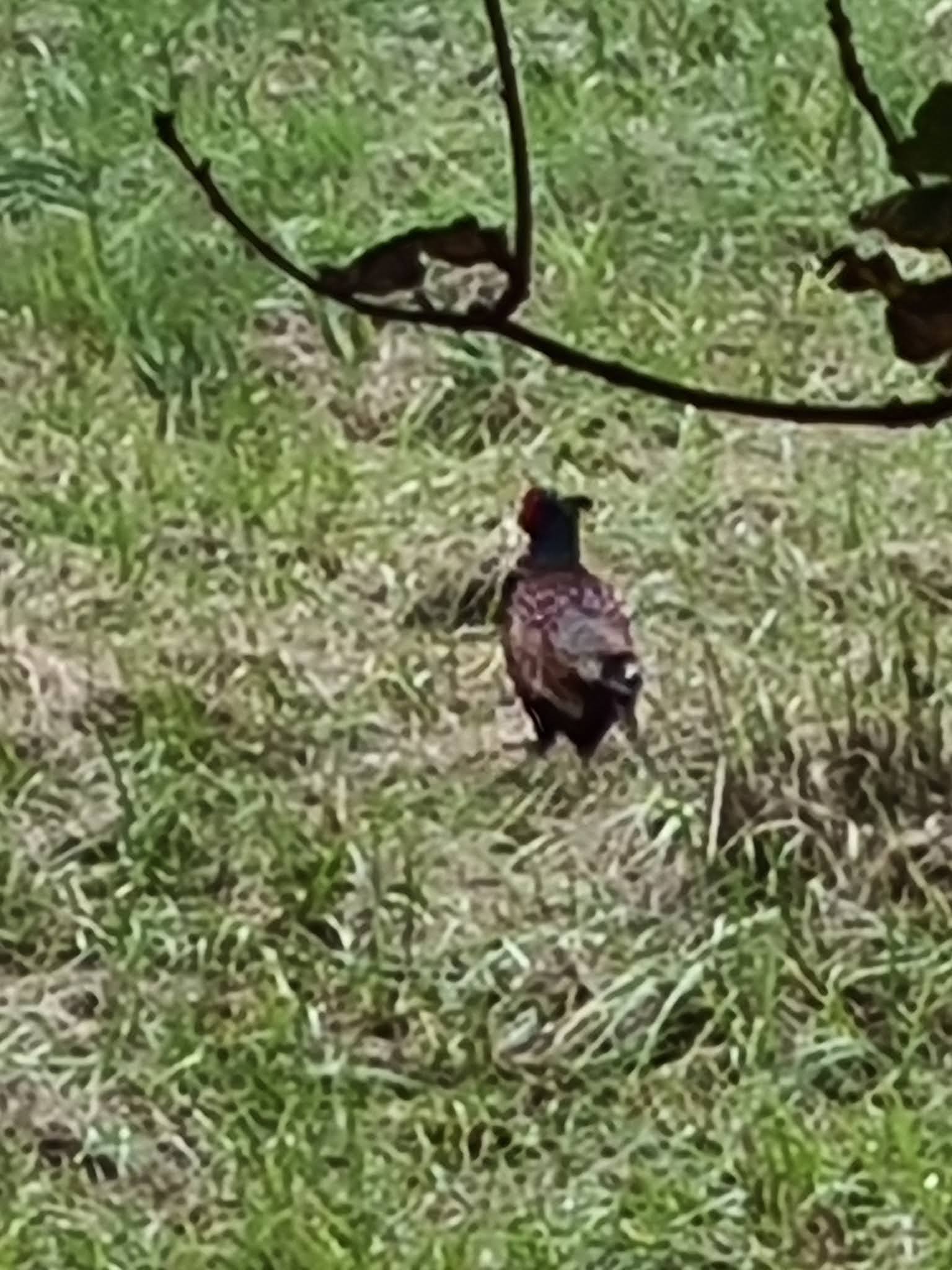 Photo n° 7 de l'avis de Jean-Paul.i fait le 10/10/2020 à 21:26