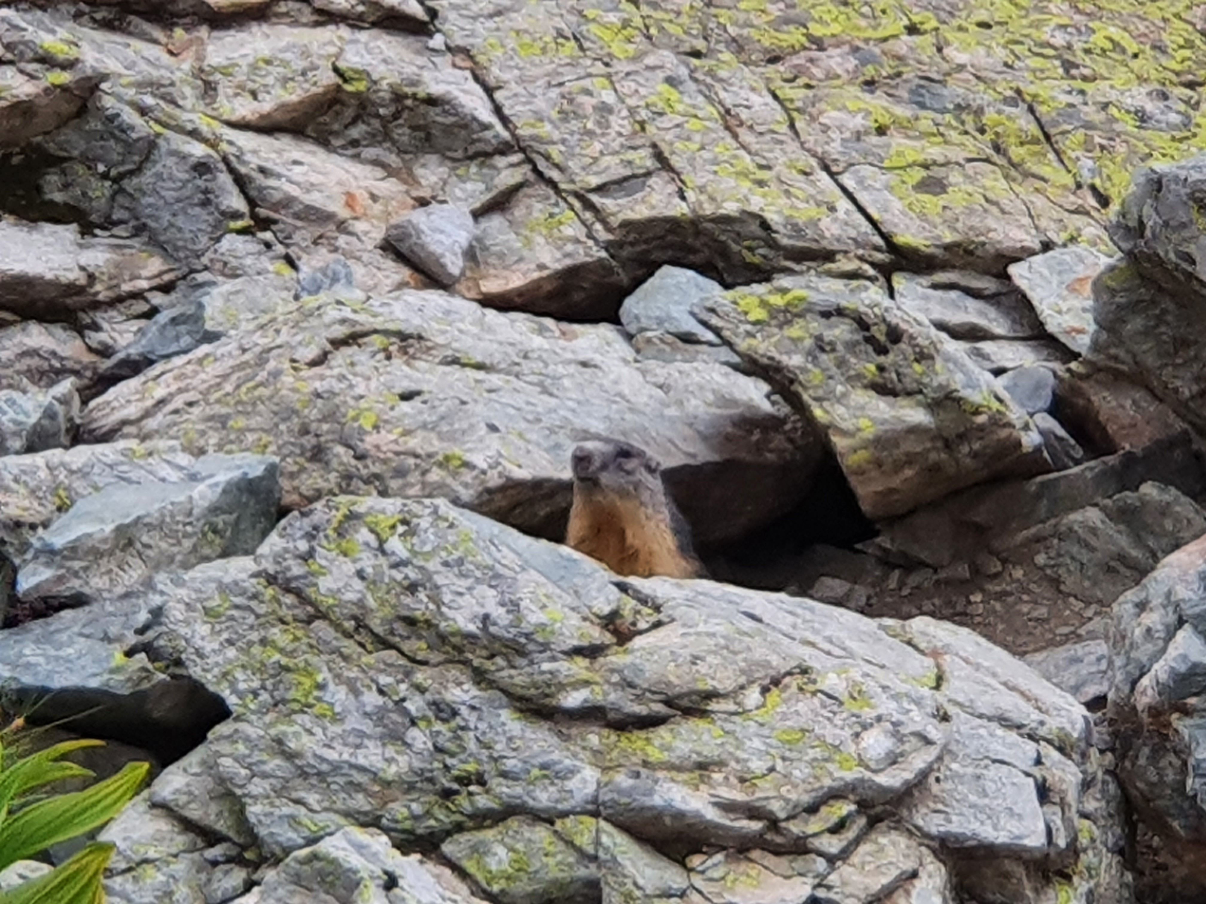 Photo n° 1 de l'avis de Laurent.r fait le 23/08/2020 à 16:09