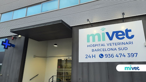 Hospital Veterinari Barcelona Sud | Mivet