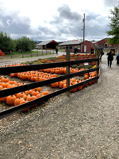Orchard «Barton Orchards - Noxon Road Store Open Year Round - The Farm is CLOSED for the Season.», reviews and photos, 63 Apple Tree Ln, Poughquag, NY 12570, USA