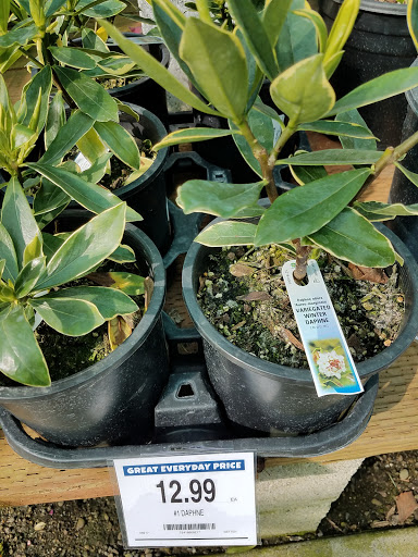 Home Improvement Store «Diamond Home Improvement», reviews and photos, 1881 NE 7th St, Grants Pass, OR 97526, USA