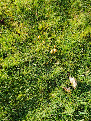 Park «Daejeon Park», reviews and photos, 1144 Sturgus Ave S, Seattle, WA 98144, USA