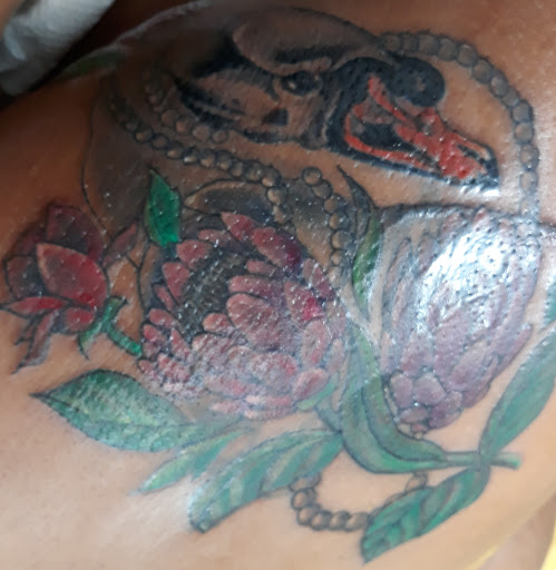 Tattoo Shop «Cool Cat Tattoos», reviews and photos, 3579 Powerline Rd, Oakland Park, FL 33309, USA