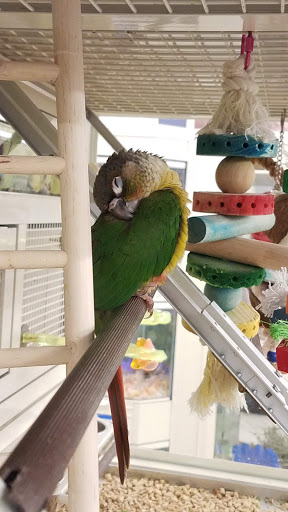 Pet Supply Store «PetSmart», reviews and photos, 250 Grossman Dr, Braintree, MA 02184, USA