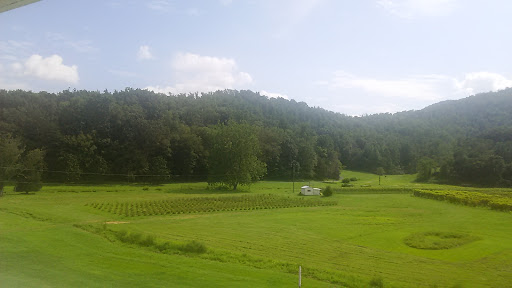 Winery «Loving Cup Vineyard & Winery», reviews and photos, 3340 Sutherland Rd, North Garden, VA 22959, USA