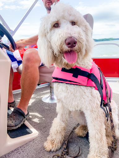 Chickamauga Veterinary Clinic image
