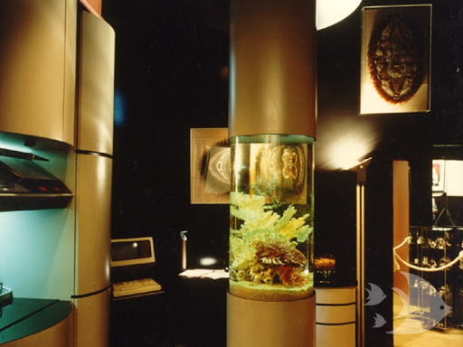 Aquarium «Aquarium Design International», reviews and photos, 9150 Belvedere Rd #110, Royal Palm Beach, FL 33411, USA