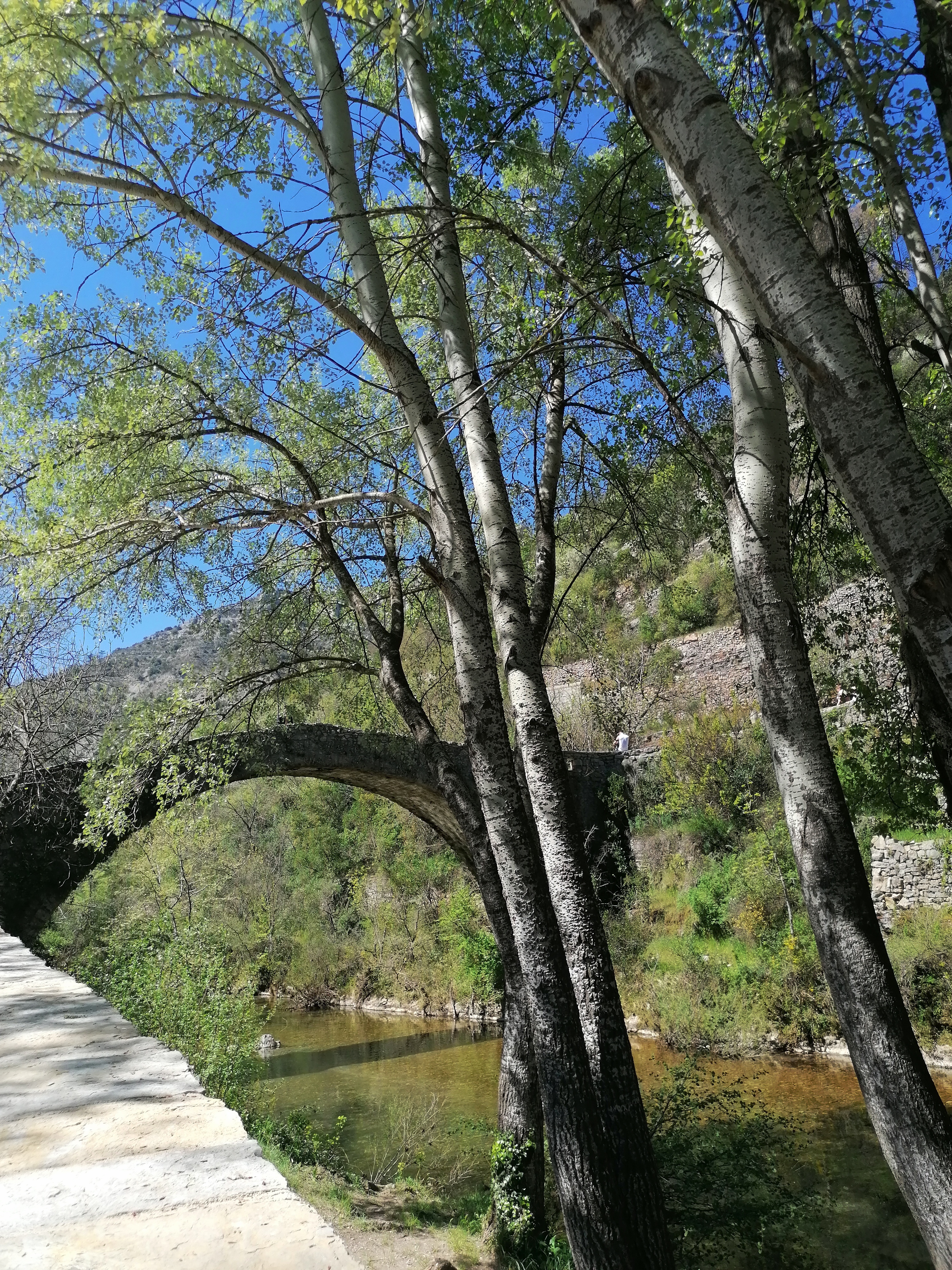 Photo n° 1 de l'avis de choji.a fait le 27/04/2022 à 18:16