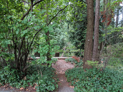 Park «Zumdieck Park», reviews and photos, 1500 108th Ave NE, Bellevue, WA 98004, USA