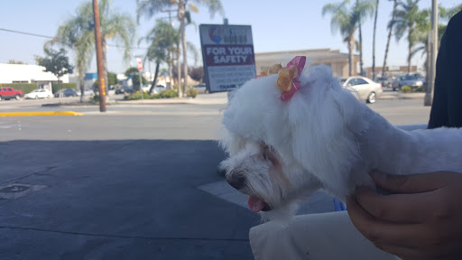 Car Wash «Mission Car Wash», reviews and photos, 1601 San Fernando Rd, San Fernando, CA 91340, USA