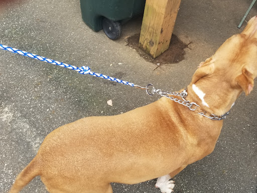 Motorcycle Dealer «Cycle World of Athens», reviews and photos, 4225 Atlanta Hwy, Athens, GA 30606, USA