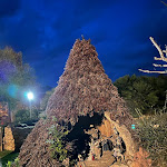 Photo n°12 de l'avis de Angelica.e fait le 03/09/2023 à 14:35 sur le  Azienda Agrituristica Sa Mandra à Alghero