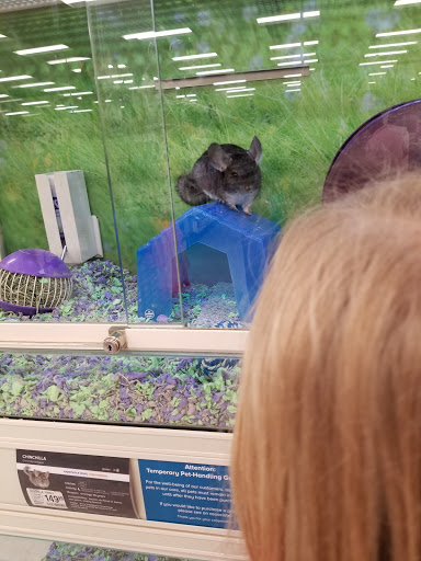 Pet Supply Store «PetSmart», reviews and photos, 6251 N Davis Hwy, Pensacola, FL 32504, USA