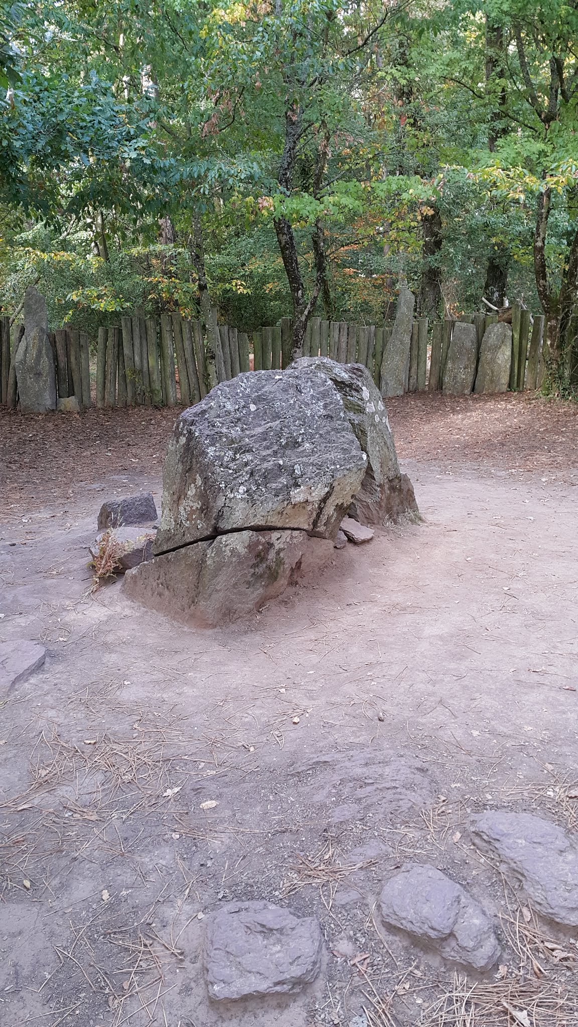 Photo n° 1 de l'avis de Sylvain.e fait le 14/11/2018 à 00:40