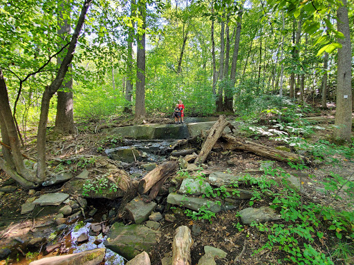 Nature Preserve «Cranberry Lake Preserve», reviews and photos, 1609 Old Orchard St, West Harrison, NY 10604, USA