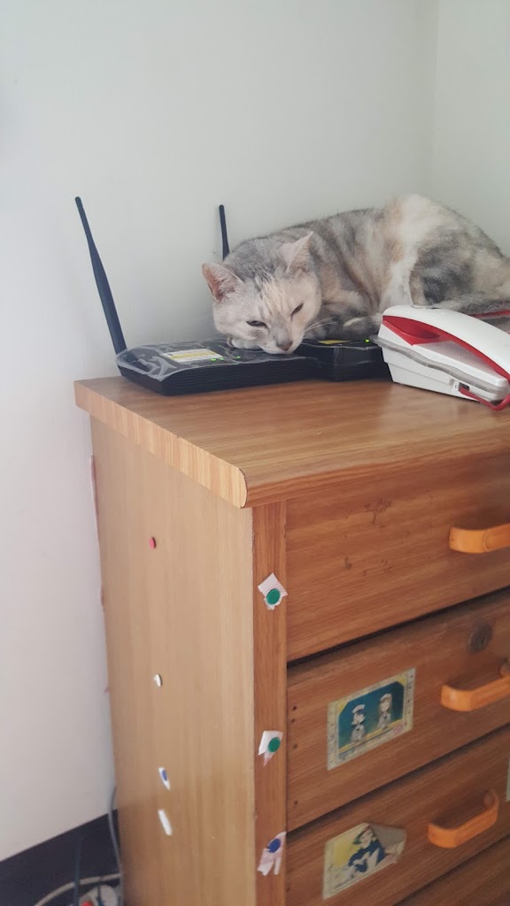 CoCo都可 大溪崎頂店 的照片