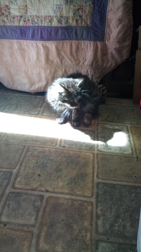 Fall River Veterinary Hospital