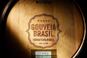 Gouveia Brasil image