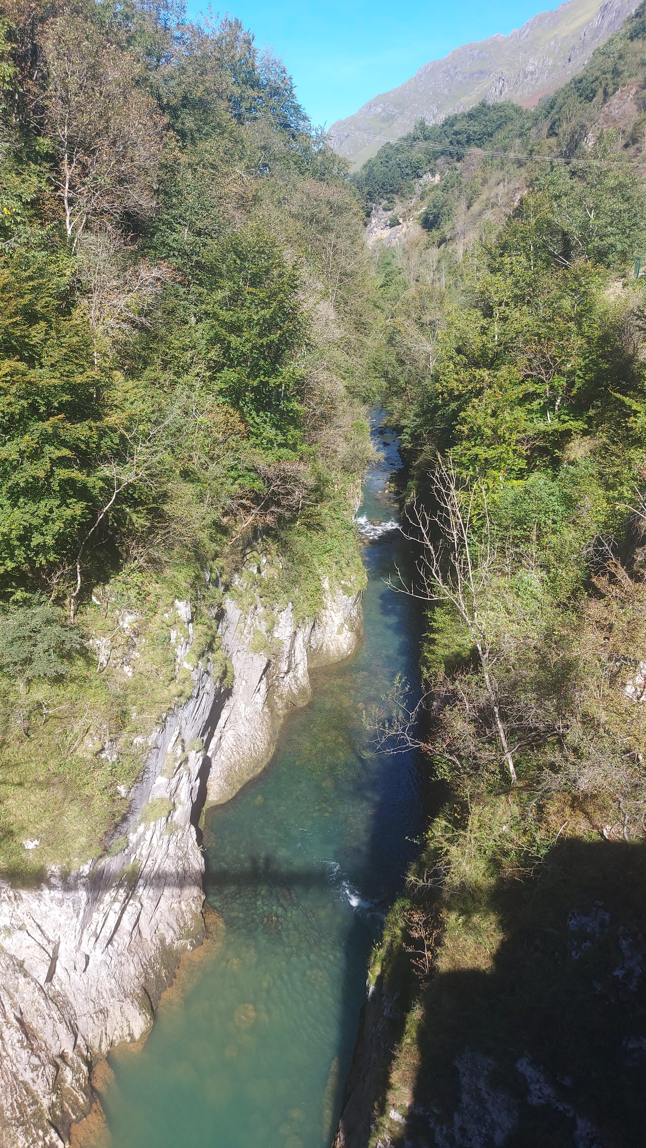 Photo n° 1 de l'avis de Sabine. fait le 01/10/2023 à 17:37