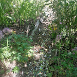 Photo n° 6 de l'avis de C. fait le 30/05/2022 à 14:12 pour JARDIN DU CLOS DU PIOULE à Dompnac