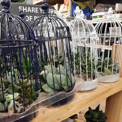 Home Improvement Store «The Home Depot», reviews and photos, 41 Nashua Rd, Londonderry, NH 03053, USA