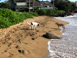 Photo de Secret Beach et le règlement