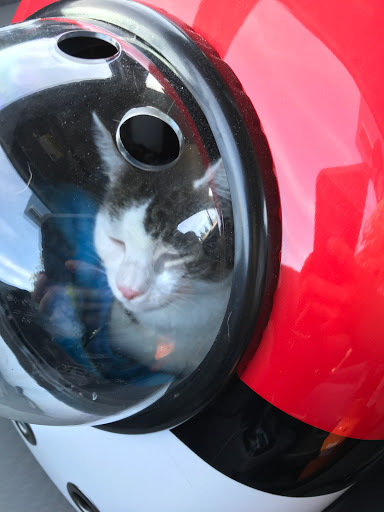 Pet Supply Store «Pet Food Express», reviews and photos, 5829 Lone Tree Way, Antioch, CA 94531, USA