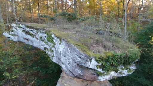 Nature Preserve «Jug Rock Nature Preserve», reviews and photos, Albright Ln, Shoals, IN 47581, USA