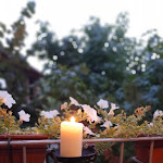 Photo n°1 de l'avis de Carletto.e fait le 07/07/2022 à 06:19 sur le  La Locanda delle Marionette à Sciolze