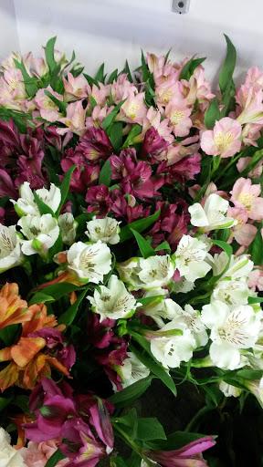 Florist «Sykes the Florist and Greenhouses», reviews and photos, 1300 Lawrence St, Lowell, MA 01852, USA