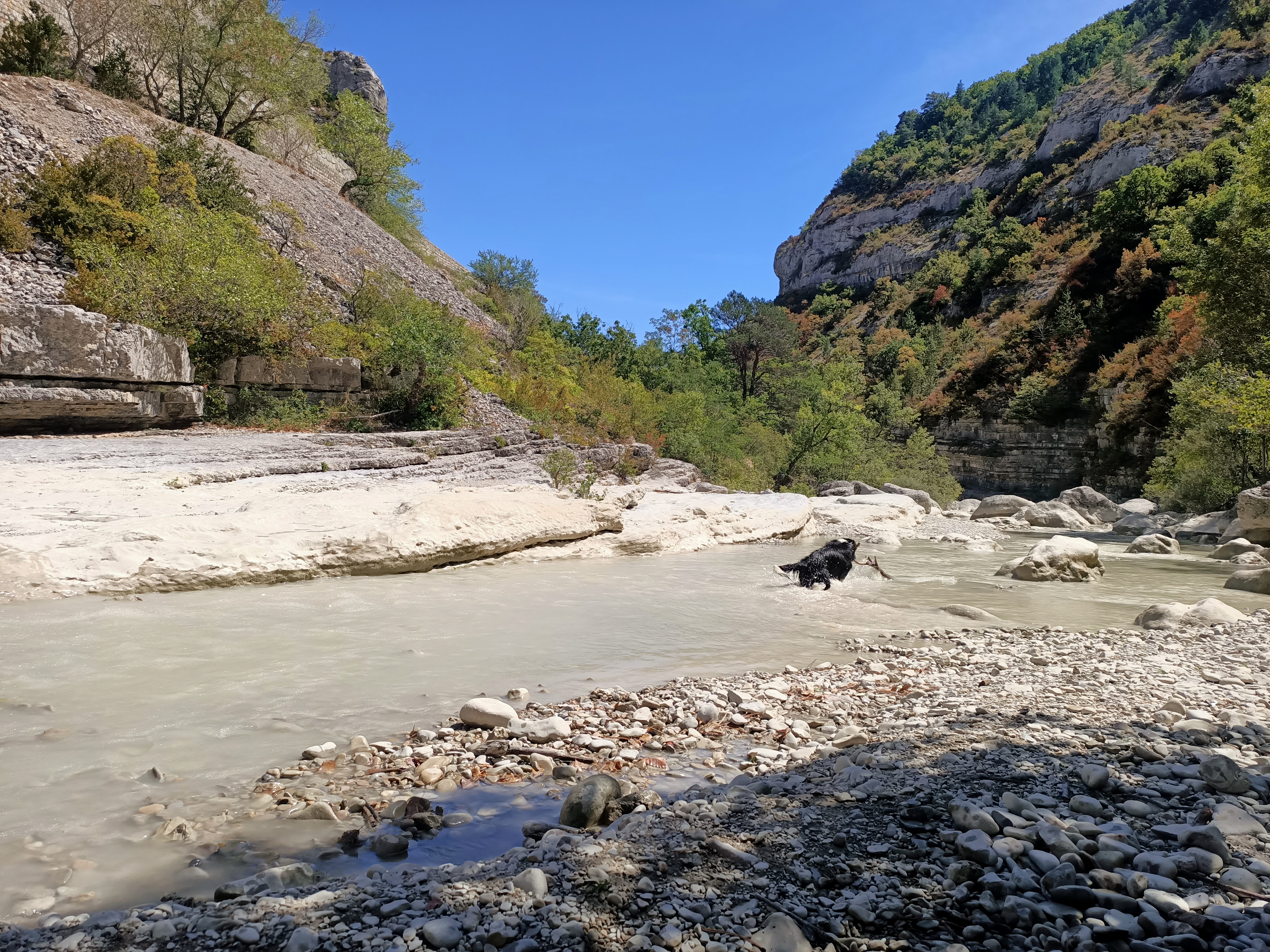 Photo n° 2 de l'avis de Pauline.r fait le 21/08/2022 à 15:04