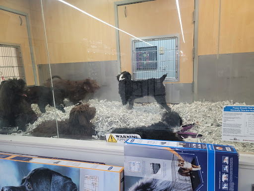 Pet Store «Animal Kingdom», reviews and photos, 5000 S Arizona Mills Cir, Tempe, AZ 85282, USA