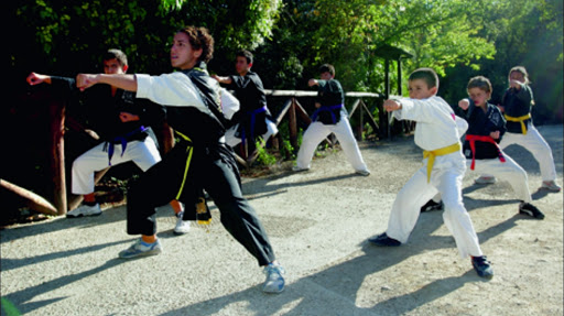 Arti Marziali - Hwa Rang Do - Tor di Quinto - corso Francia