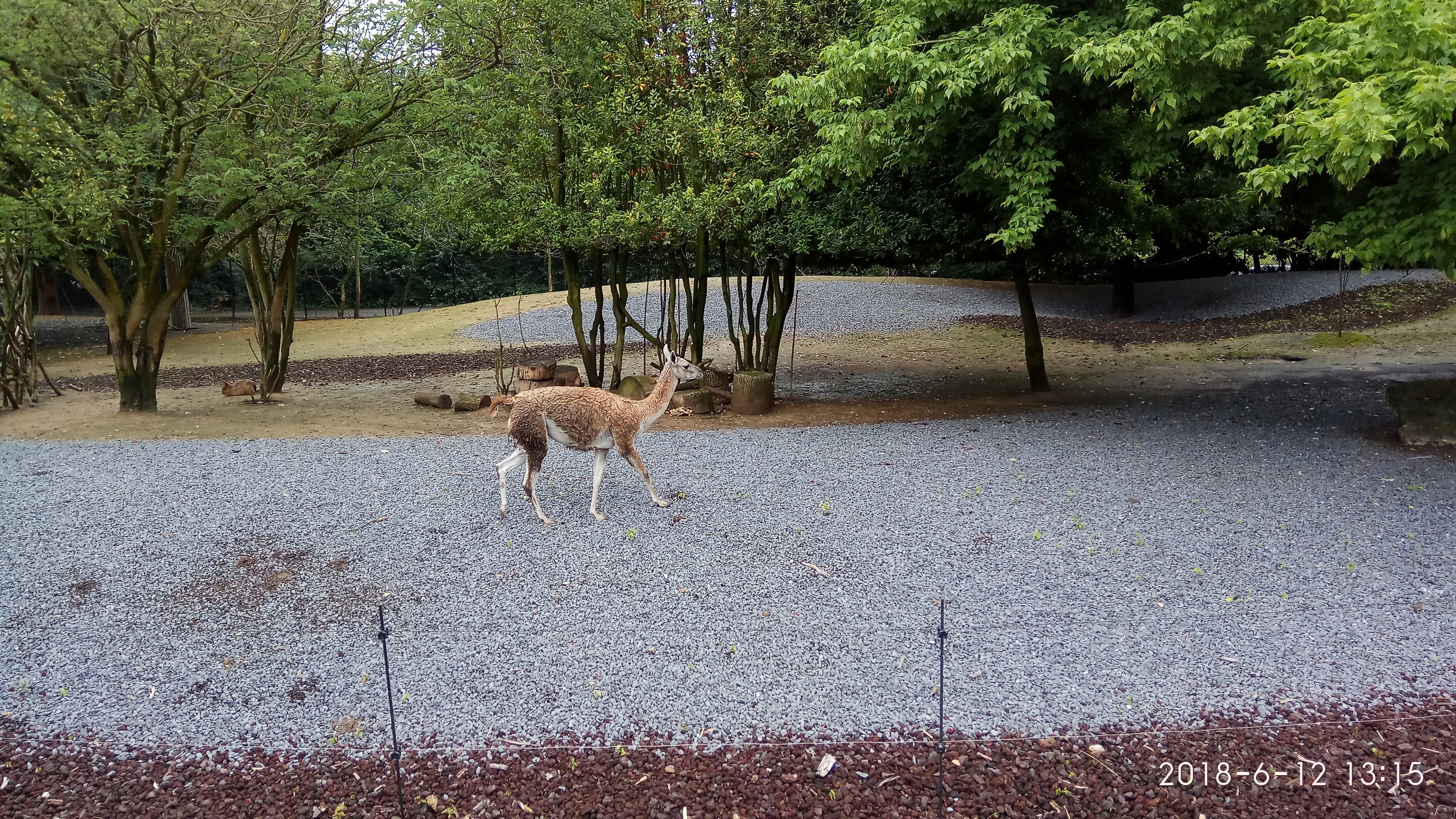 Photo n° 25 de l'avis de Swiss.e fait le 15/06/2018 à 19:24
