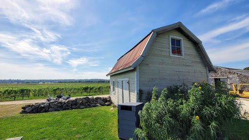 Vineyard «Westport Rivers Vineyard», reviews and photos, 417 Hixbridge Rd, Westport, MA 02790, USA