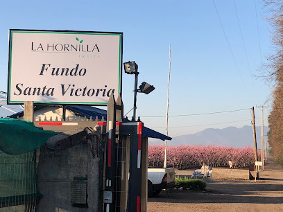 Fundo Santa Victoria, Sociedad Agricola La Hornilla SPA