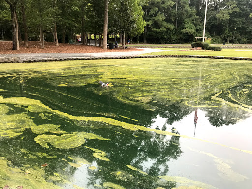 Park «Roswell Area Park», reviews and photos, 10495 Woodstock Rd, Roswell, GA 30075, USA