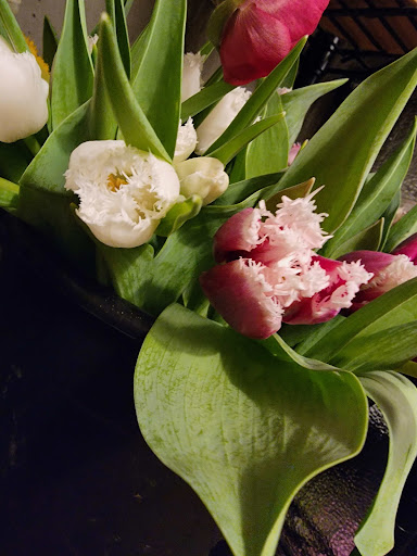 Florist «Flower Art Denver», reviews and photos, 8801 E Hampden Ave Suite 1g, Denver, CO 80231, USA