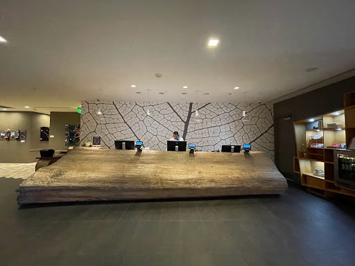 Hotel «Hotel Paradox, Autograph Collection», reviews and photos, 611 Ocean St, Santa Cruz, CA 95060, USA