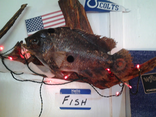 Grocery Store «Cataract General Store», reviews and photos, 2799 S Cataract Rd, Spencer, IN 47460, USA