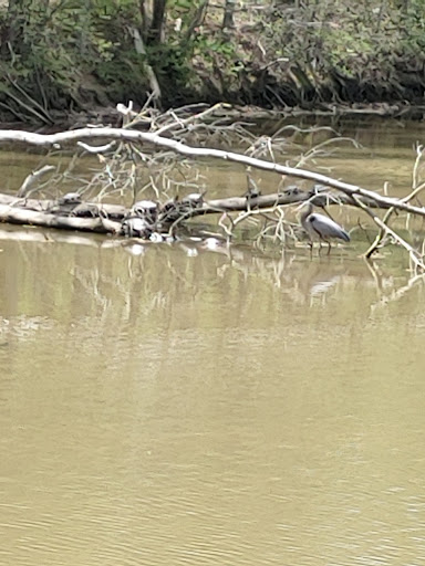 Nature Preserve «Three Lakes Park & Nature Center», reviews and photos, 400 Sausiluta Dr, Richmond, VA 23227, USA