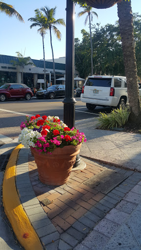 Italian Restaurant «Molto Trattoria», reviews and photos, 368 5th Ave S, Naples, FL 34102, USA