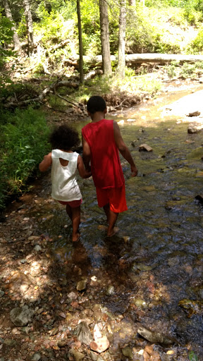 Nature Preserve «Strawberry Hill Nature Preserve», reviews and photos, 1537 Mt Hope Rd, Fairfield, PA 17320, USA